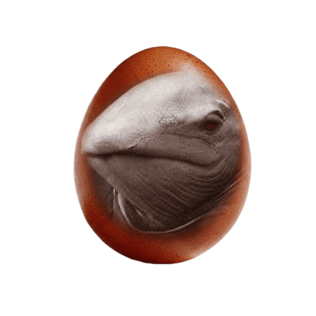 WHEGG - The Reptile Egg